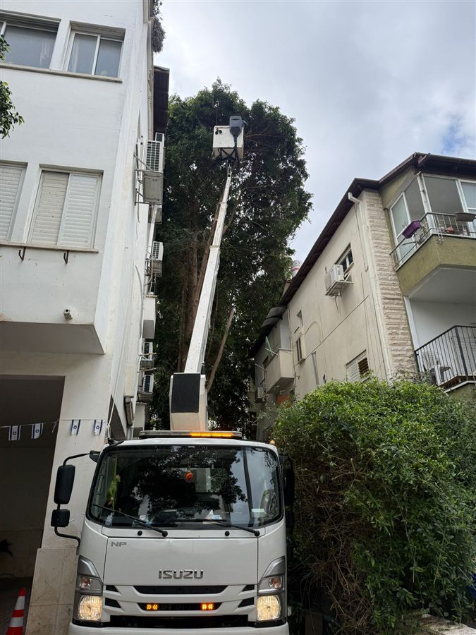 משאית מנוף סל 22 מטר לגיזום עצים ועבודות בגובה