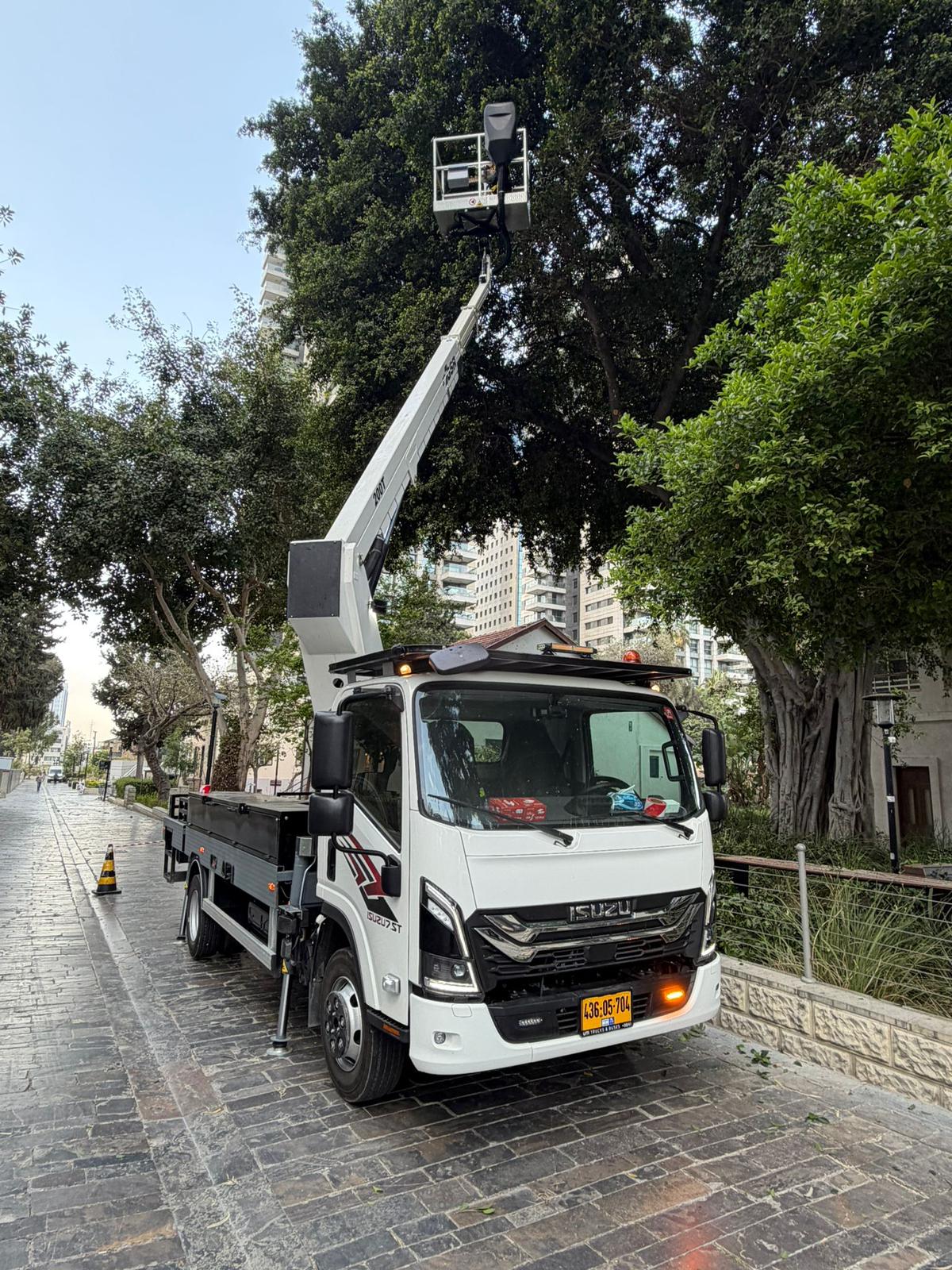 עבודת גיזום