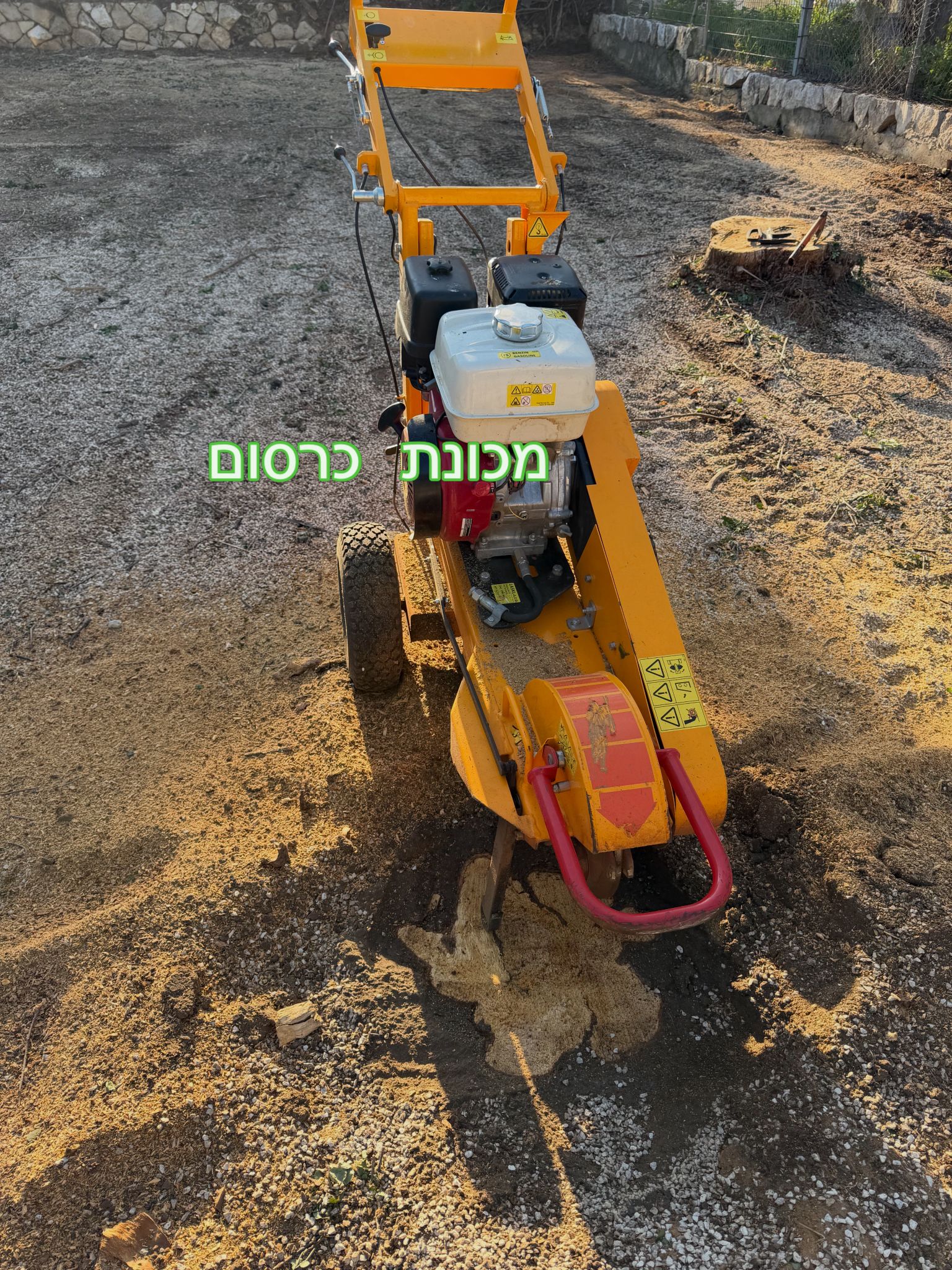 עבודת גיזום