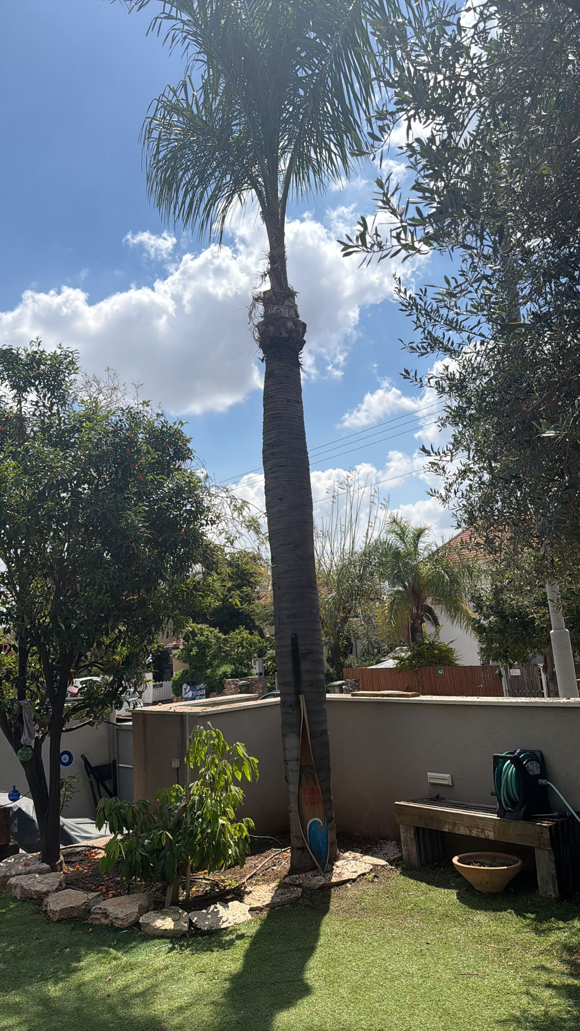 עבודת גיזום