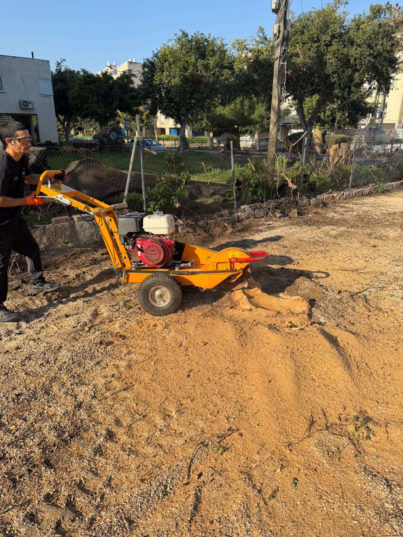 עבודת גיזום