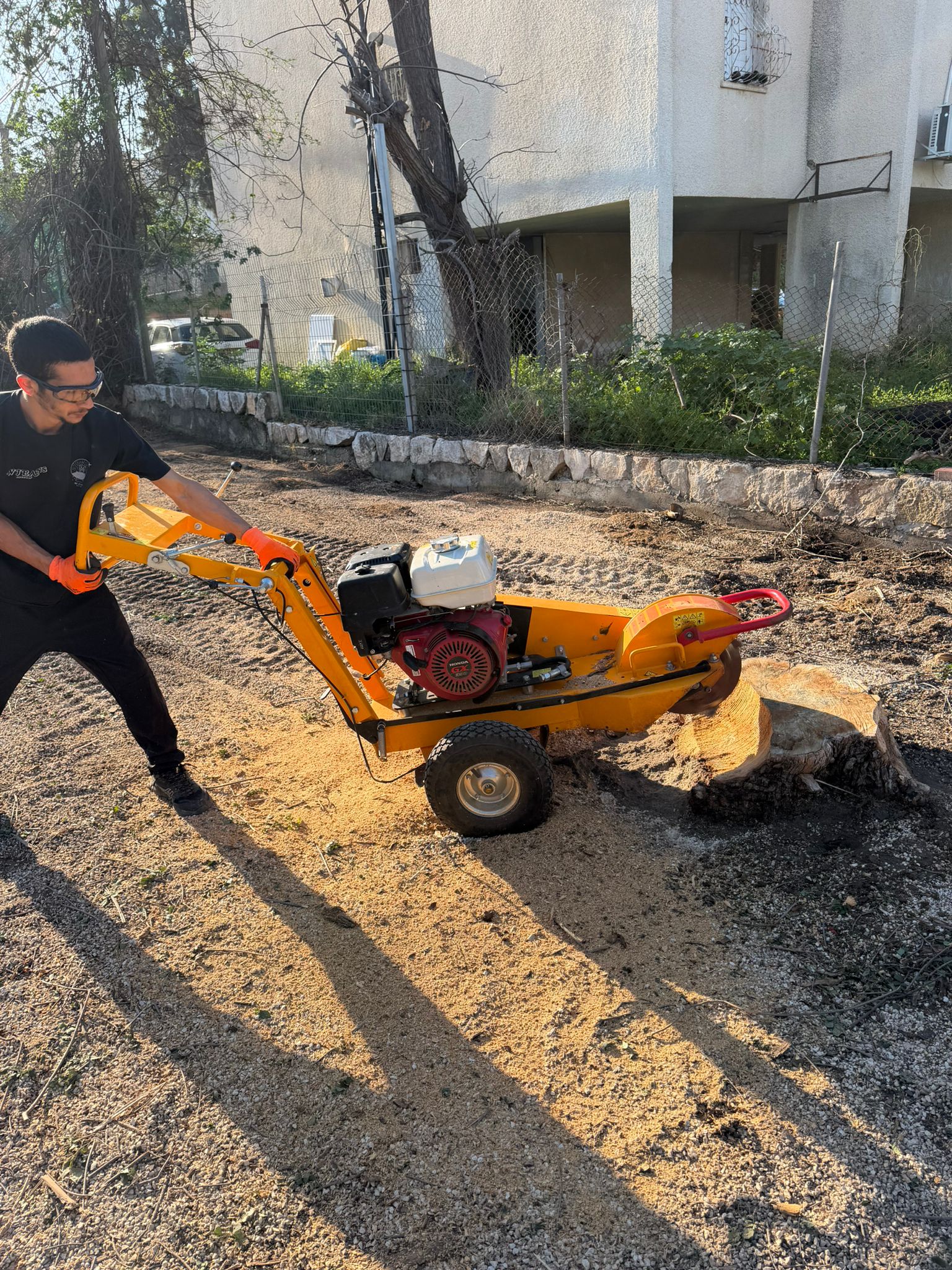 עבודת גיזום