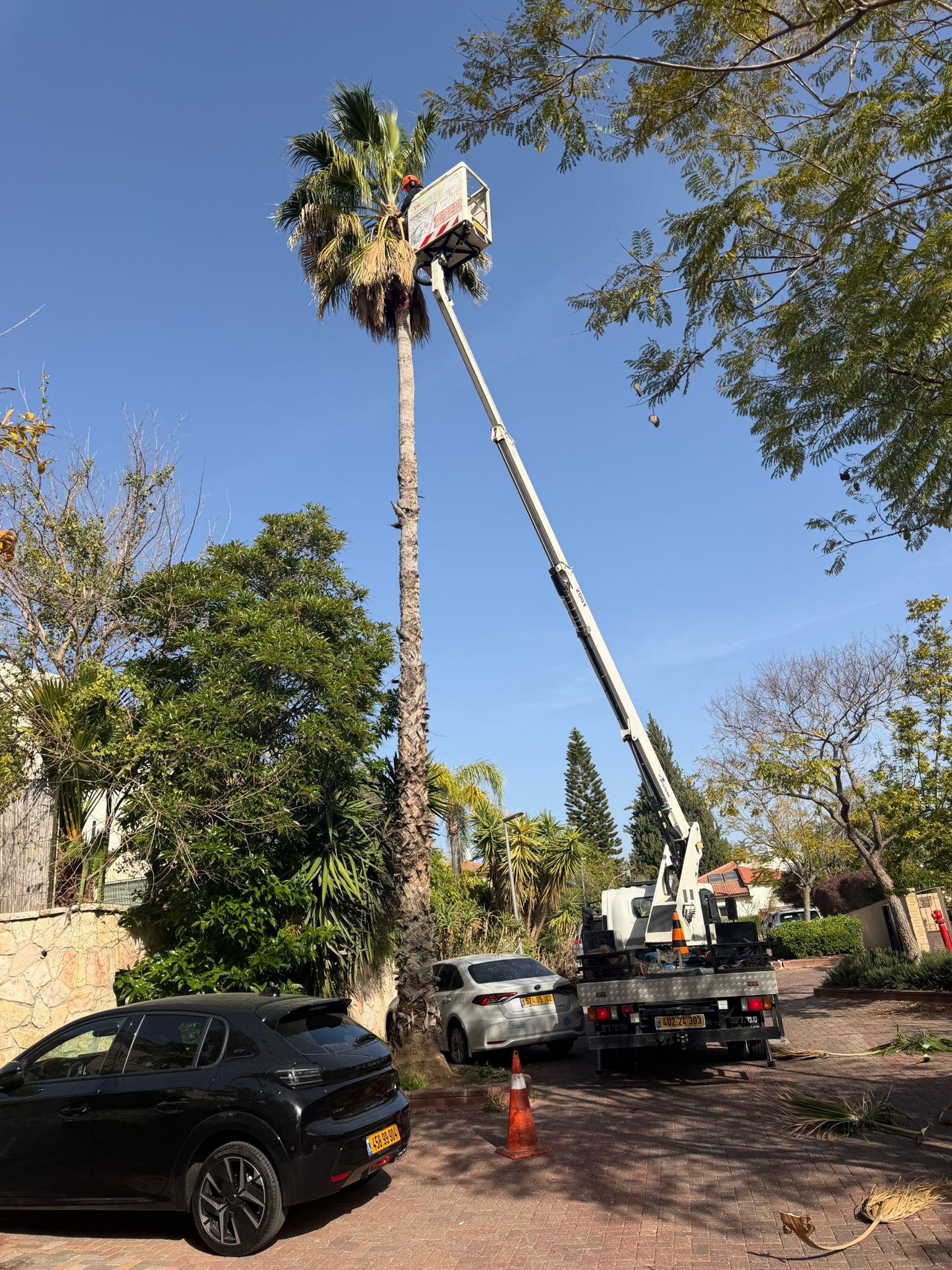 עבודת גיזום