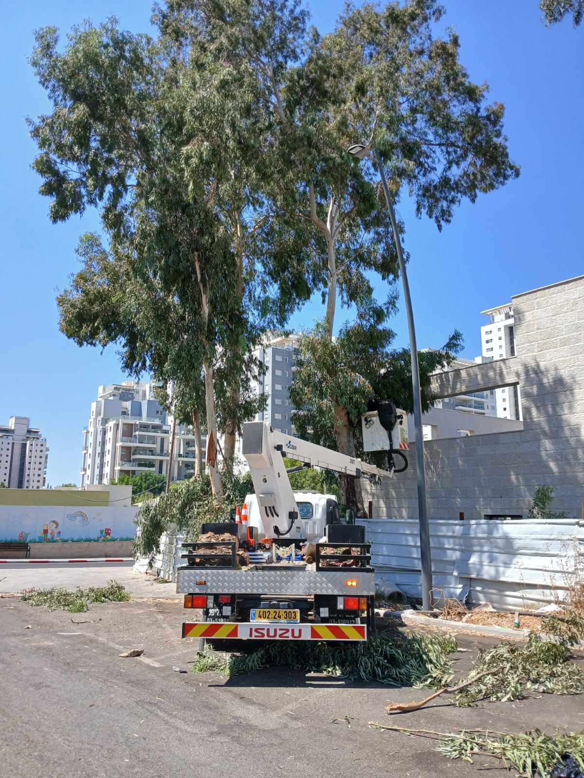 עבודת גיזום