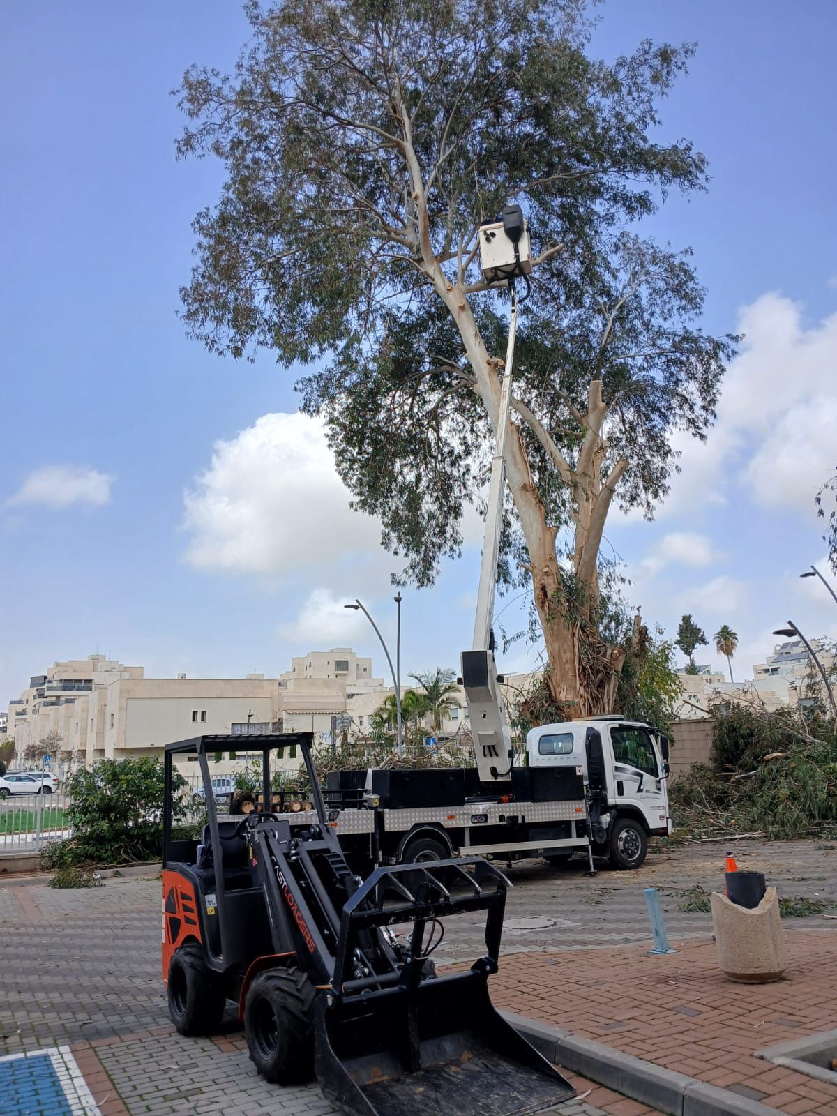עבודת גיזום